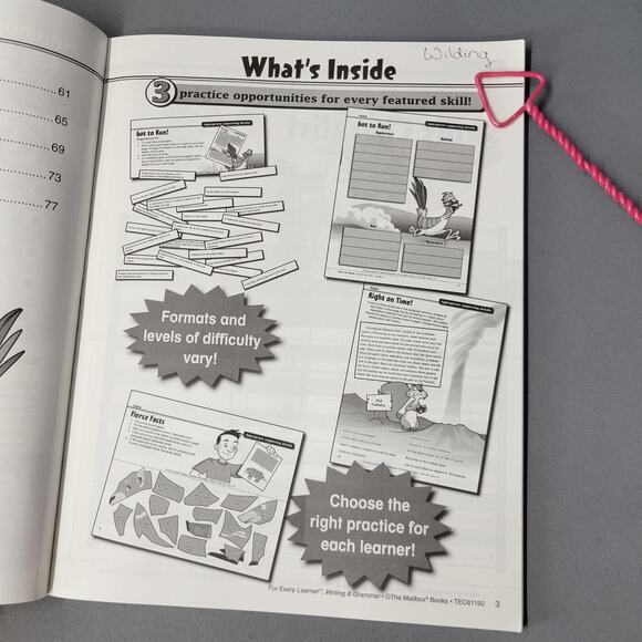 The Mailbox For Every Learner Writing & Grammar Grade 4 Workbook 2009 Softcover - Picture 7 of 16